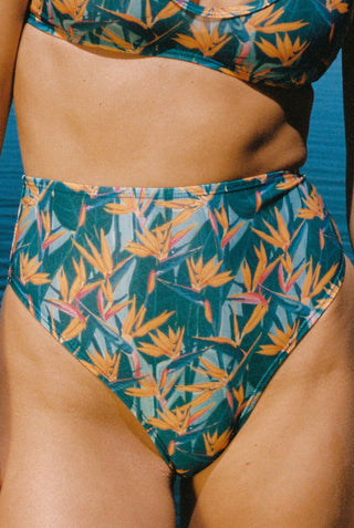 High Waisted Bottom - Bird of Paradise
